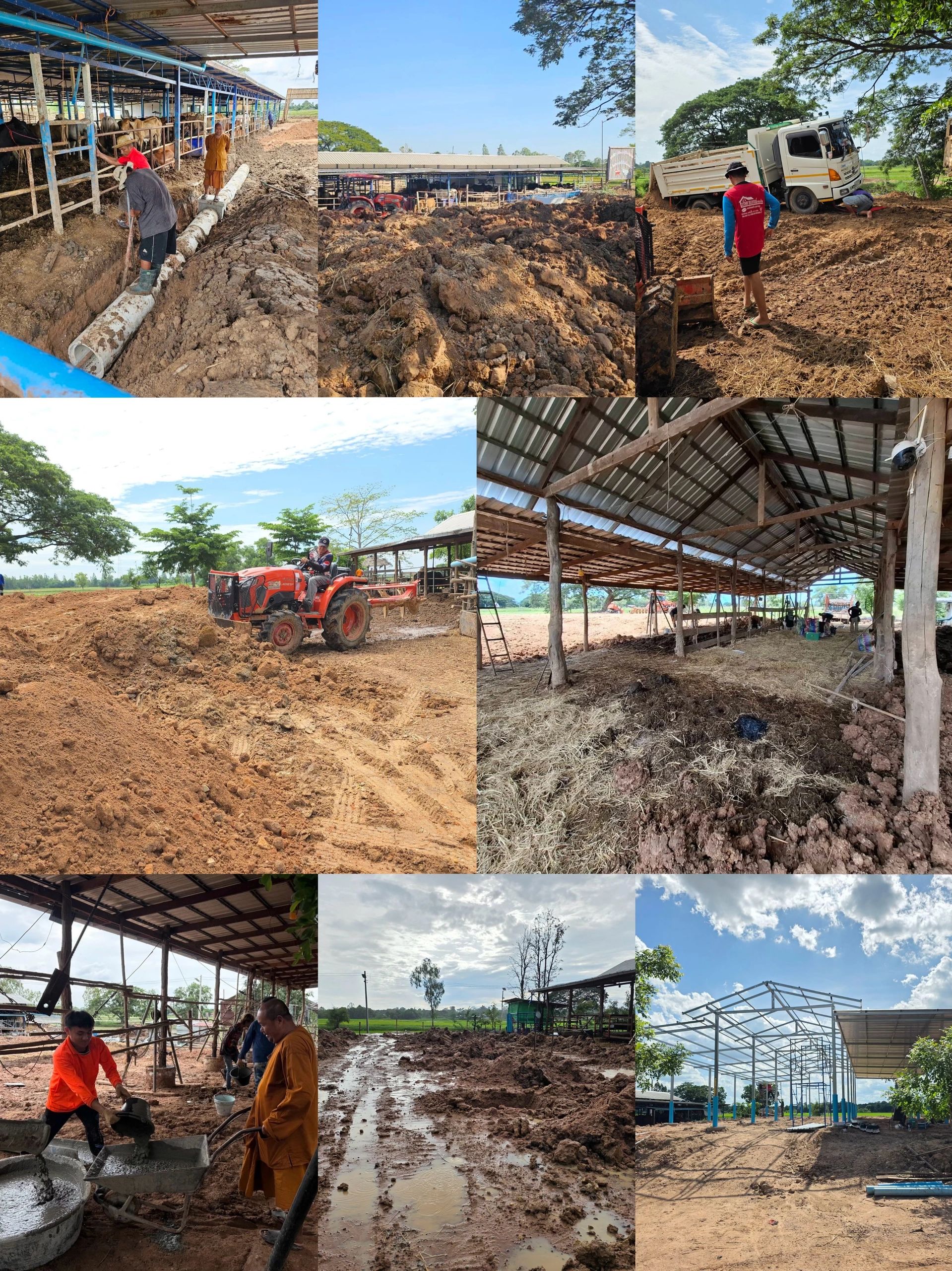 Renovation work in progress at the cattle shelter