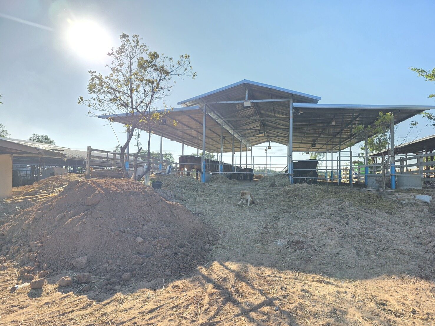 The rebuilt sanctuary today