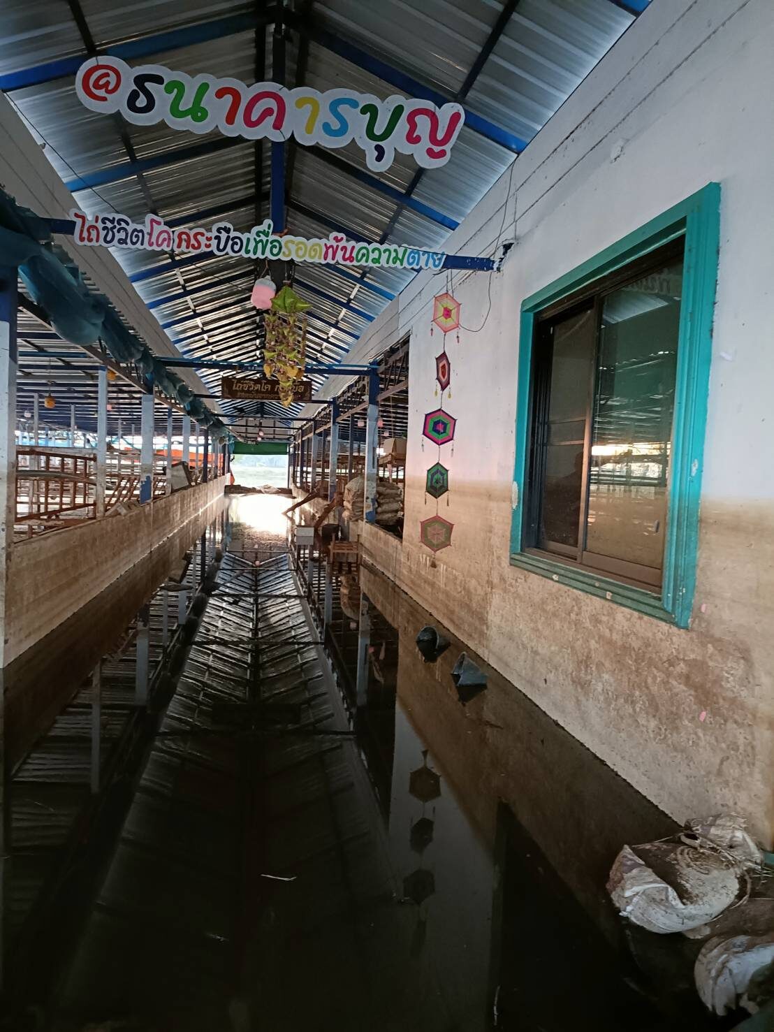 Flood damage at the sanctuary, 2025